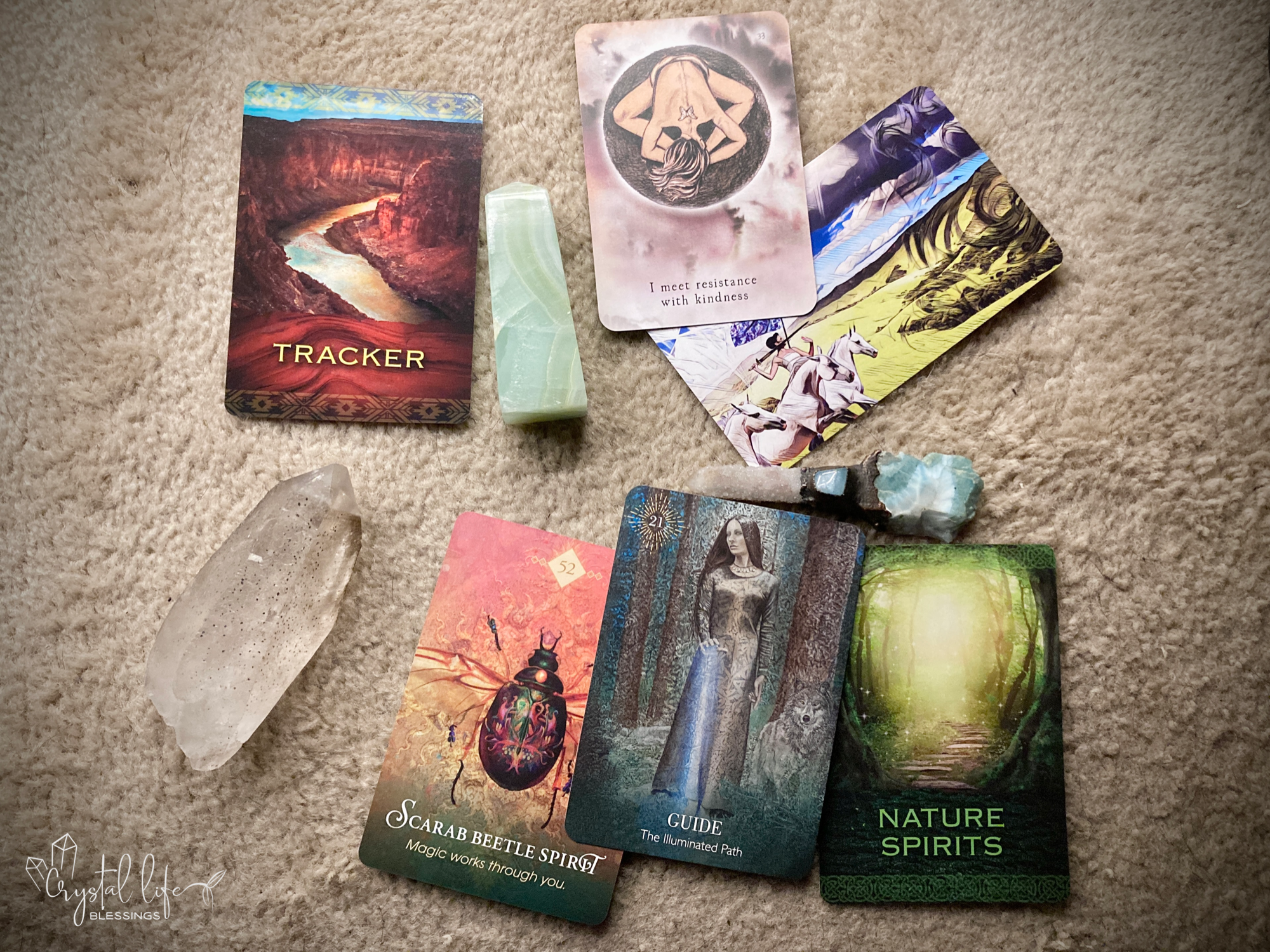 Meditation:  Choose the Energy You Bring