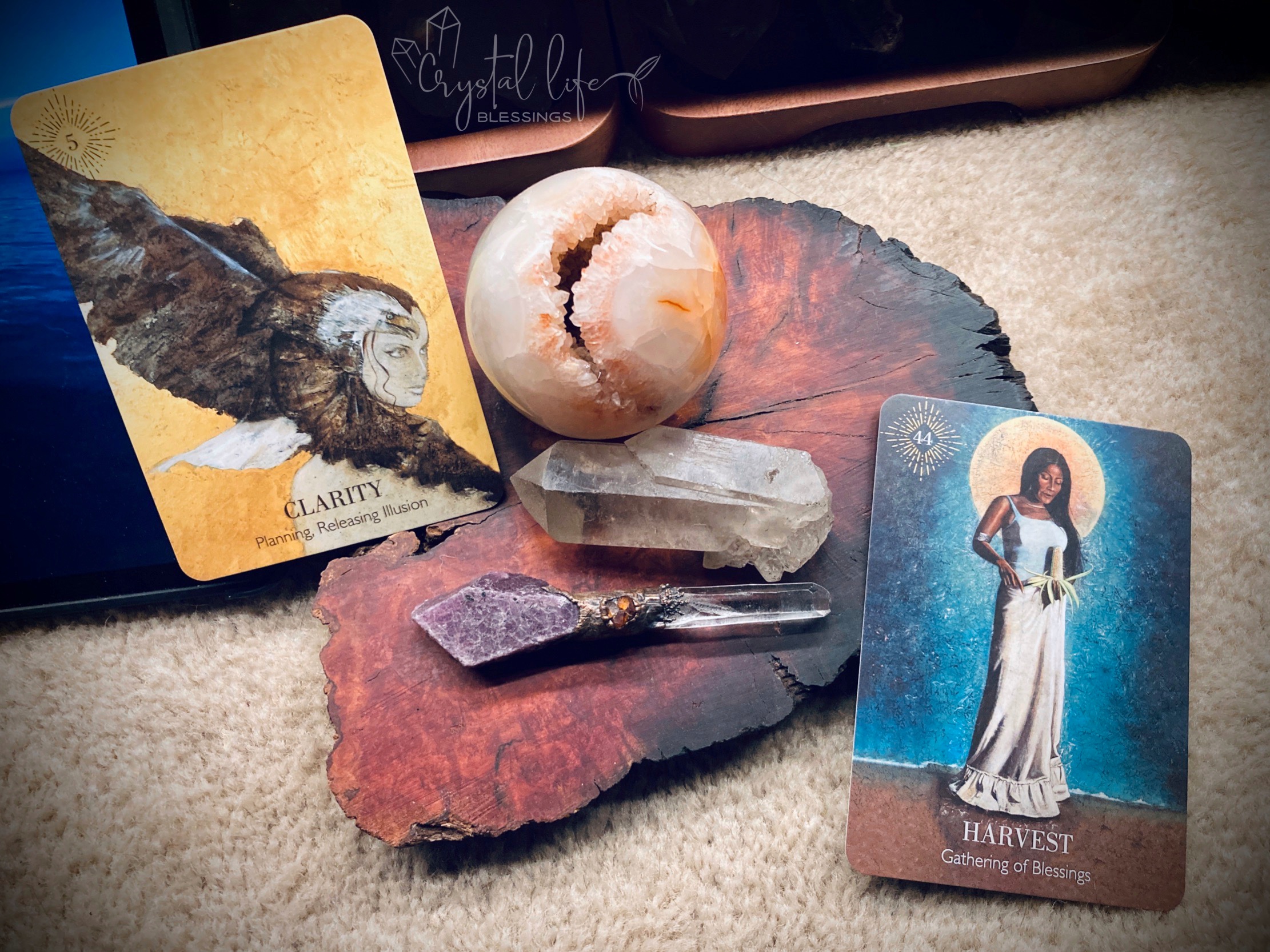 Meditation: Cognizant and Grateful