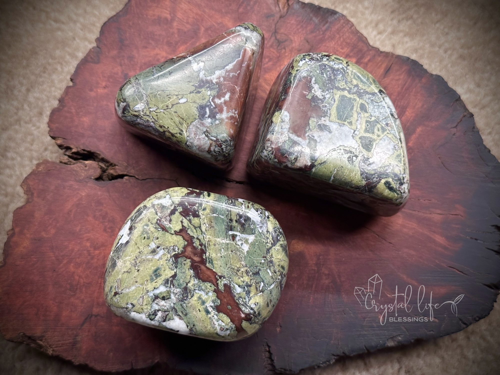 Jasper (Dragonite) / Dragonite Jasper